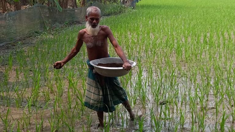 ক্ষুদ্র কৃষকের সমস্যা এবং সমাধানের সন্ধানে