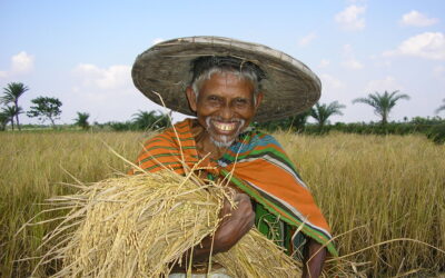 FARMERS’ SEED RIGHTS IN BANGLADESH CONTEXT