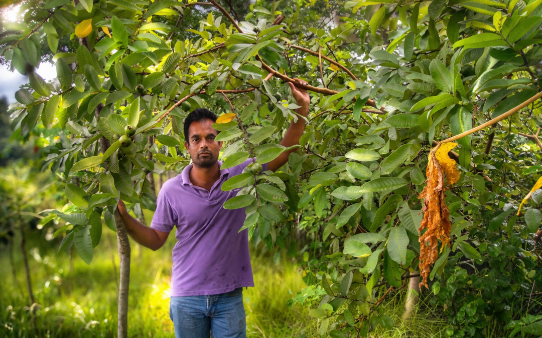 A Case Study on Tanu Integrated Agricultural (TIA) Farm