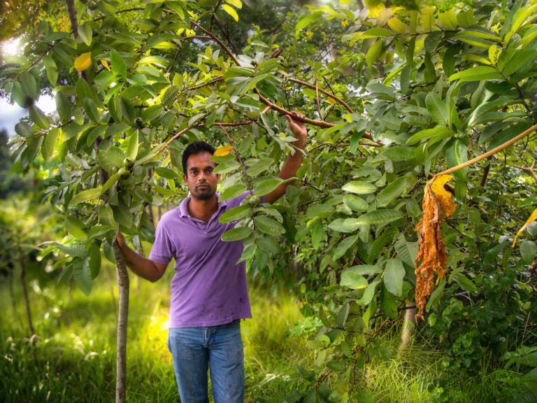 A Case Study on Tanu Integrated Agricultural (TIA) Farm