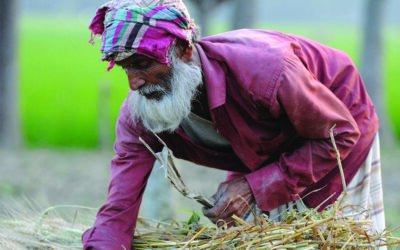 দিনবদল কত দূরে