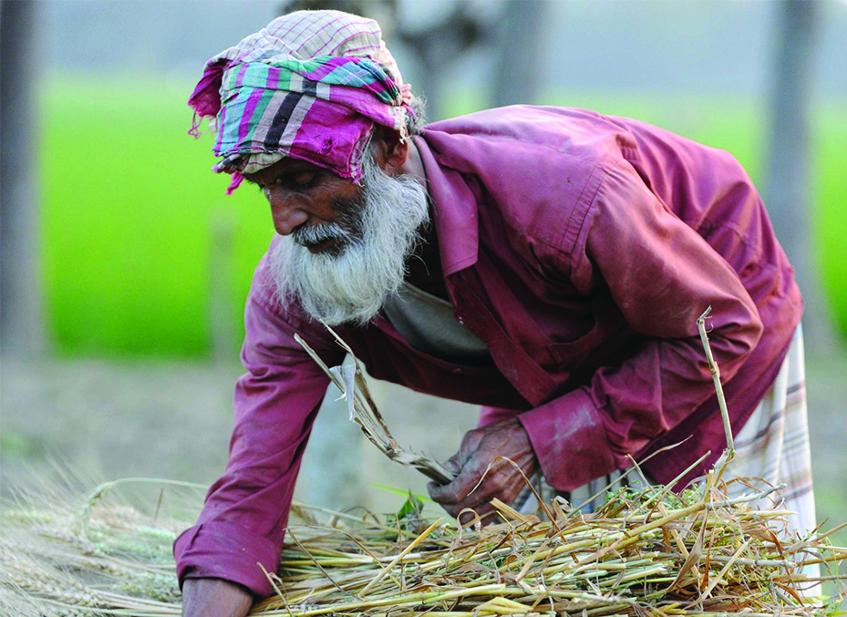 দিনবদল কতদূর