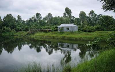 সমন্বিত কৃষি ও আমার কথা