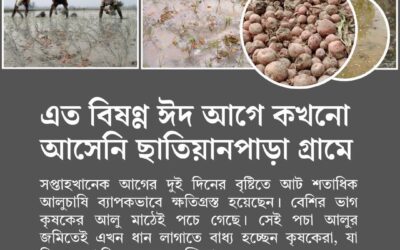আলু-পেঁয়াজ-চাষীর ঈদ