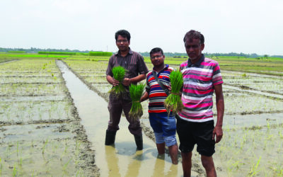 বিপজ্জনকভাবে বাঁচো: নিৎশের দর্শন থেকে